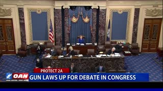 Gun laws up for debate in Congress