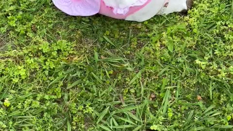 Princess squirms on a worm