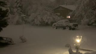 Spring snow storm in wonderful Colorado...