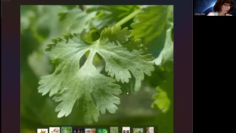 "LE SPEZIE: UN DONO DELLA NATURA PER IL NOSTRO PALATO E PER IL NOSTRO BENESSERE