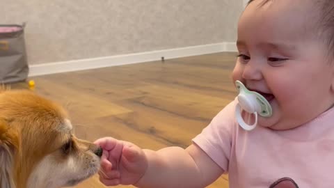 A girl laughs at a dog