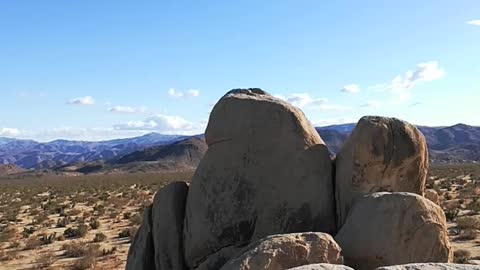 Joshua tree 4