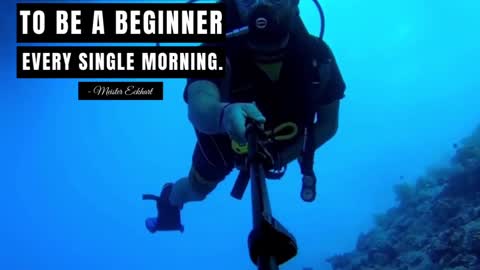 Be Willing to be a Beginner Every Single Morning