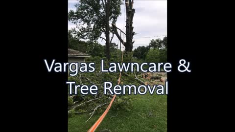 Vargas Lawncare & Tree Removal - (659) 208-6171