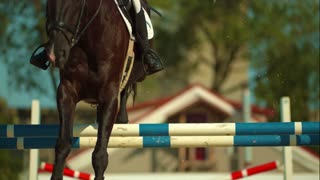 Slow motion Of A Horse Jumping over the Barriers