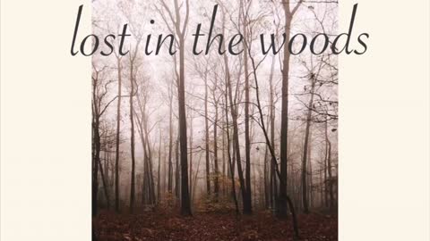 Lost in the Woods - Piano Cover