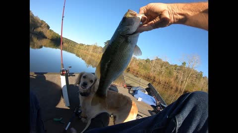 wilson creek,lake Richard B Russel SC.