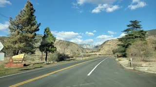 Snow drive jan 26 2021 Mentone to Forest Falls hwy 38. Bighorn sheep