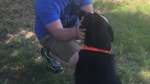 Excited Doggy Reunites with His Owner