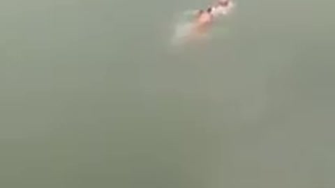 dog saves man from drowning