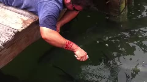 Fish Grabs Man's Arm! - Tarpon Smackdown