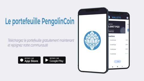 The P2P Blockchain PengolinCoin Wallet (French)