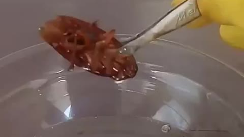 MELTING INSECTS IN SULFURIC ACID