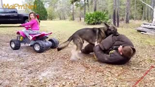 German Shepherd Protects Babies and Kids Compilation - The best Protection Dogs