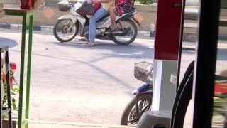 Person Playing with a Puppy on a Scooter