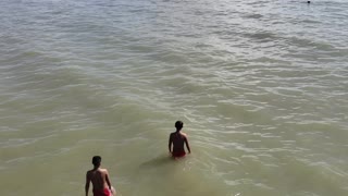 Dolphin Zooms by Beach Swimmers