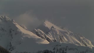 Yellow Bird Flying Over Mountains Covered With Snow