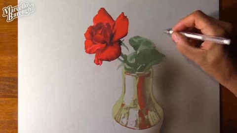 Draw The Shadow Of The Rose Petals