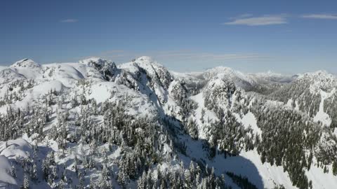 Landscape of snow-covered mountain and pines