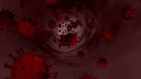 CORONA VIRUS