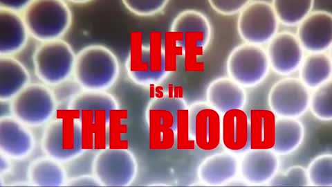 Life is in The Blood