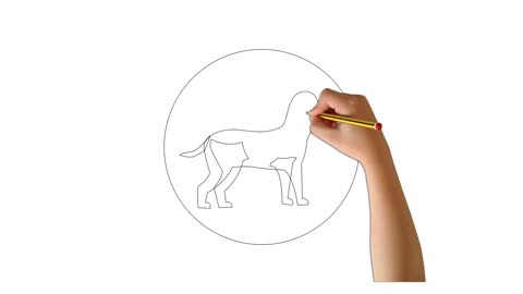 Dibujando un hermoso perro