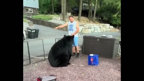 Rude bear scratches man when asked to leave family's cookout