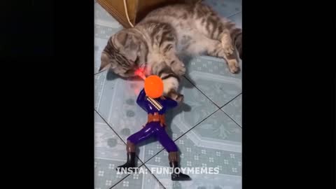 funny cat vs toy army