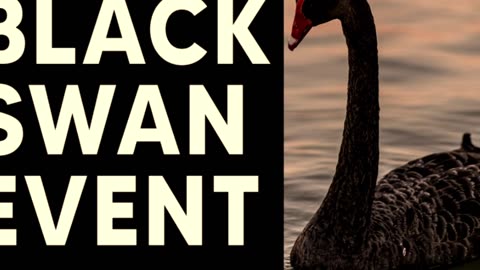 Another message on Q Clocks says Black Swan event