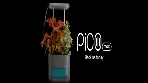 Pico Max: Grow a Garden Anywhere