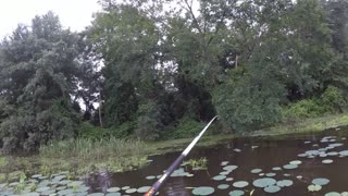 Perfect little Day (Lake Athens tx)