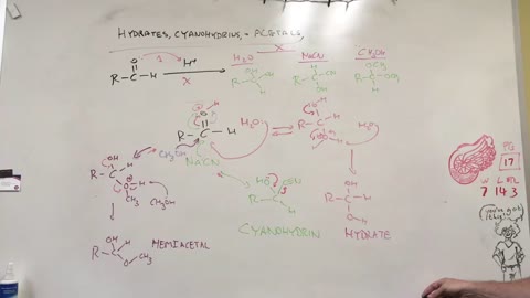 Hydrates, acetals and cyanohydrins