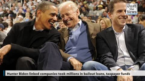 Hunter Biden-linked companies took millions in bailout loans, taxpayer funds