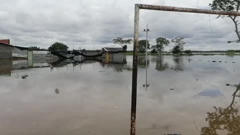 Video: Creciente en la Ciénaga Yarirí inundó 150 familias en Puerto Wilches