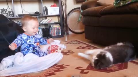 Kittens and Babies in a Unique Fun,Videos of Cats with Babies,Child's Play