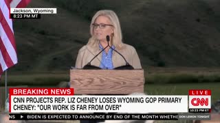 Liz Cheney Compares Herself to Abraham Lincoln After Losing Primary Election