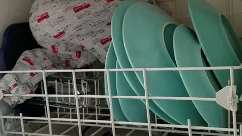 You'll Never Guess What's Inside The Dishwasher!