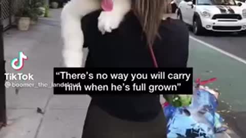 There’s no way you can carry him when he’s full grown…