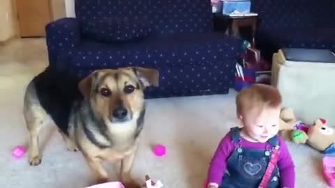 Baby laughs at funny dog