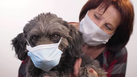 Mistress and Her Dog in Face Masks