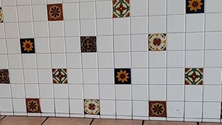 Spanish Tile