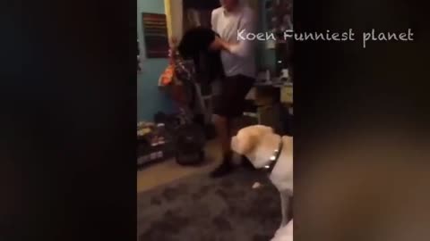 Funny Dog and Cat video..