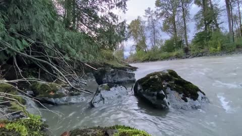 Relaxing Sound of a Mighty River - White Noise Stream - Nature Sound - Chilliwack River