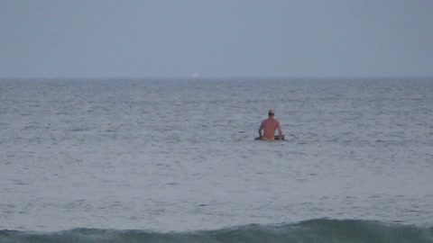 SURFER MEETS DOLPHINS - SEASIDE HEIGHTS, NJ - New Jersey Shore Beach Ocean Travel Surfing Animals