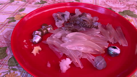 Eat Live Squid Japan