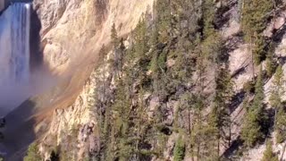 Lower Falls Yellowstone National Park