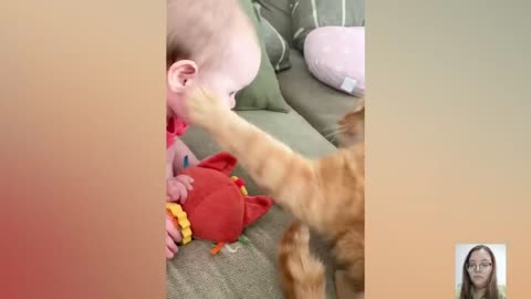 Cute Babies vs Animals Compilation __ Just for fun