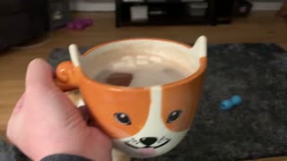 Corgi Has Concerns About Human's Mug