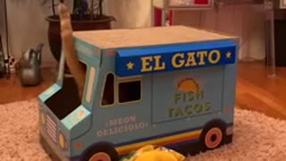 Catillac’s side hustle taco truck
