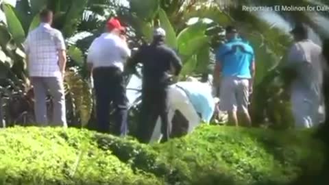Donald Trump enjoys a day of golf